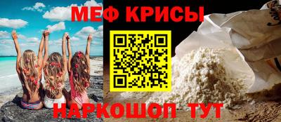 стафф Камышлов