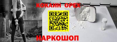 стафф Камышлов
