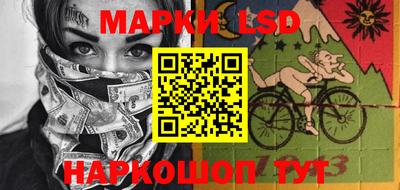 стафф Камышлов