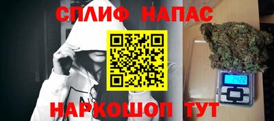 стафф Камышлов