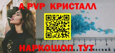 стафф Камышлов