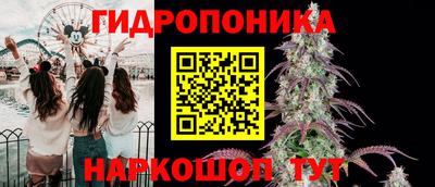 стафф Камышлов