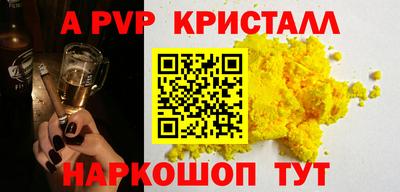 стафф Камышлов