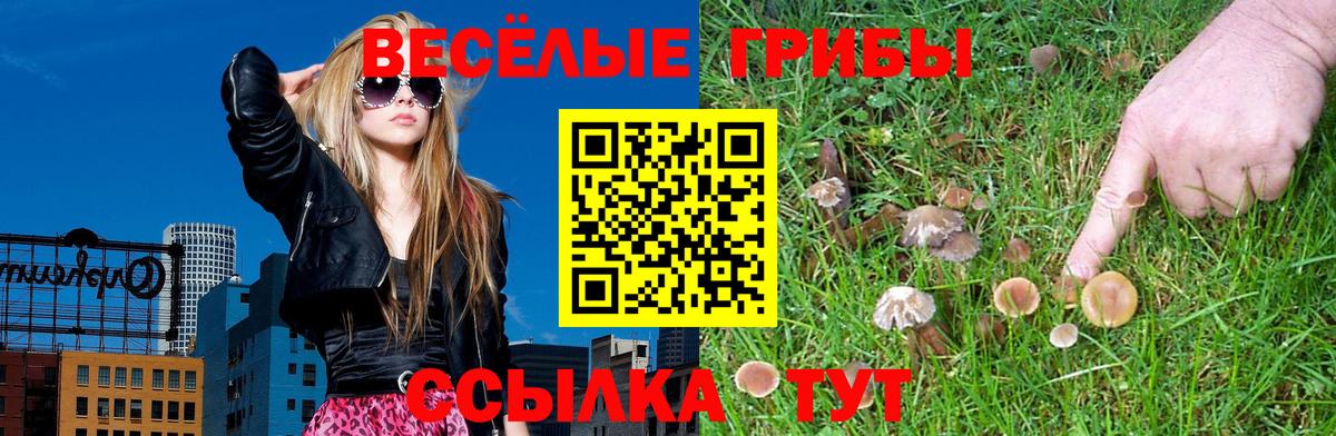Туапсе  Галлюциногенные грибы GOLDEN TEACHER  Псилоцибиновые грибы мухоморы  Вход с VPN 