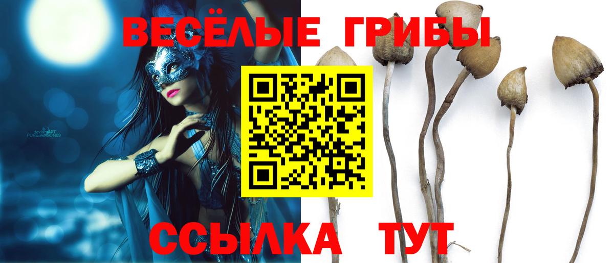 Галлюциногенные грибы мицелий Туапсе